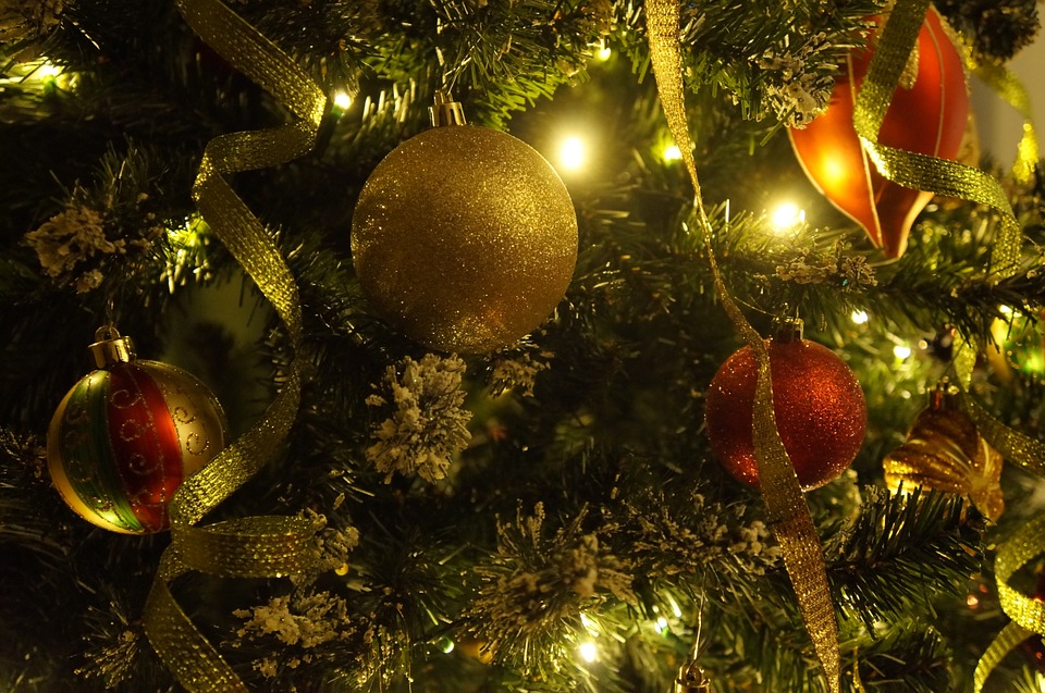 christmas-tree-708002_960_720.jpg