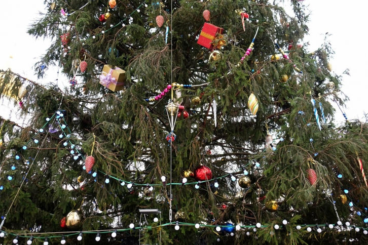 52140_l.jpg 52140_l.jpg
